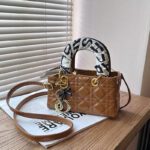 Lady Dior Handbag